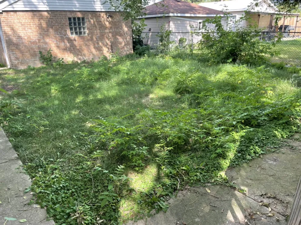 Reliable yard cleanup service for year-round maintenance across Chicago, IL - Lon Mowing yard care and Maintenance