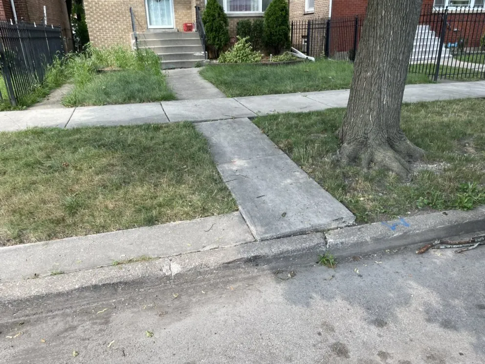 Affordable yard maintenance for outdoor upgrades across Chicago, IL - Lon Mowing yard care and Maintenance