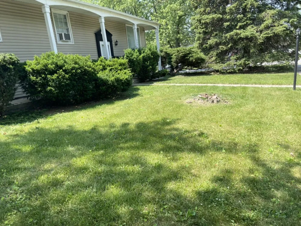 Top-rated residential landscaping in Chicago, IL - Lon Mowing yard care and Maintenance