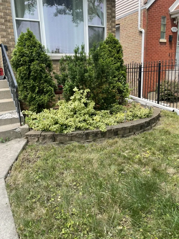 Top-rated lawn mowing service experts serving Chicago, IL - Lon Mowing yard care and Maintenance