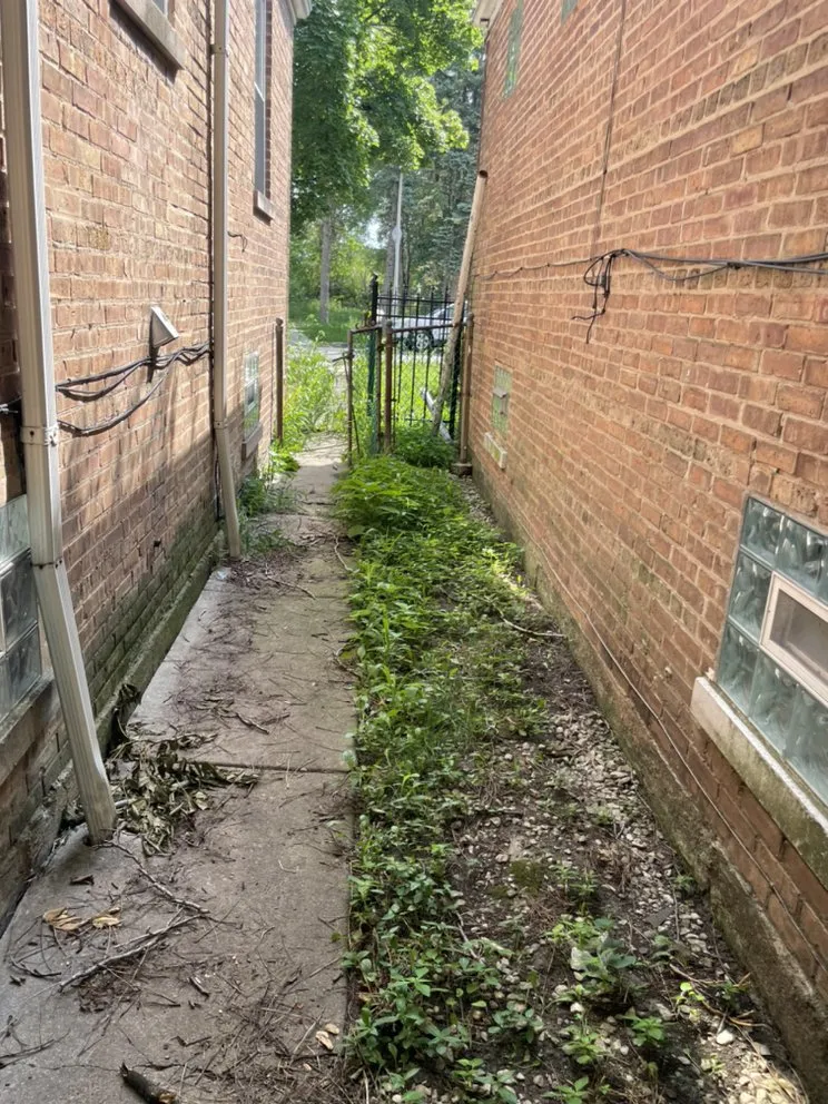 Top-rated yard maintenance in Chicago, IL - Lon Mowing yard care and Maintenance