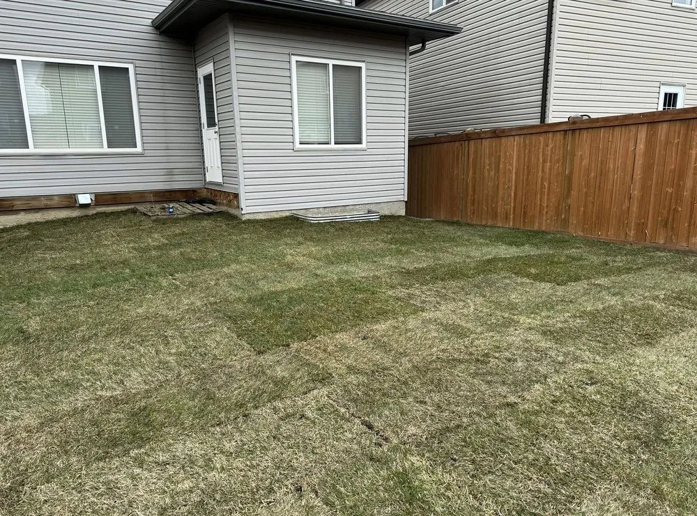 Custom landscaping services for outdoor upgrades in Fort Myers, FL by Lona Lawn Care