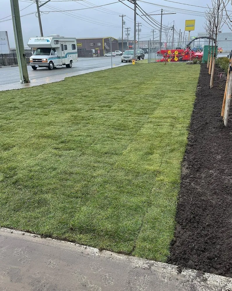 Reliable residential landscaping near you in Fort Myers, FL by Lona Lawn Care