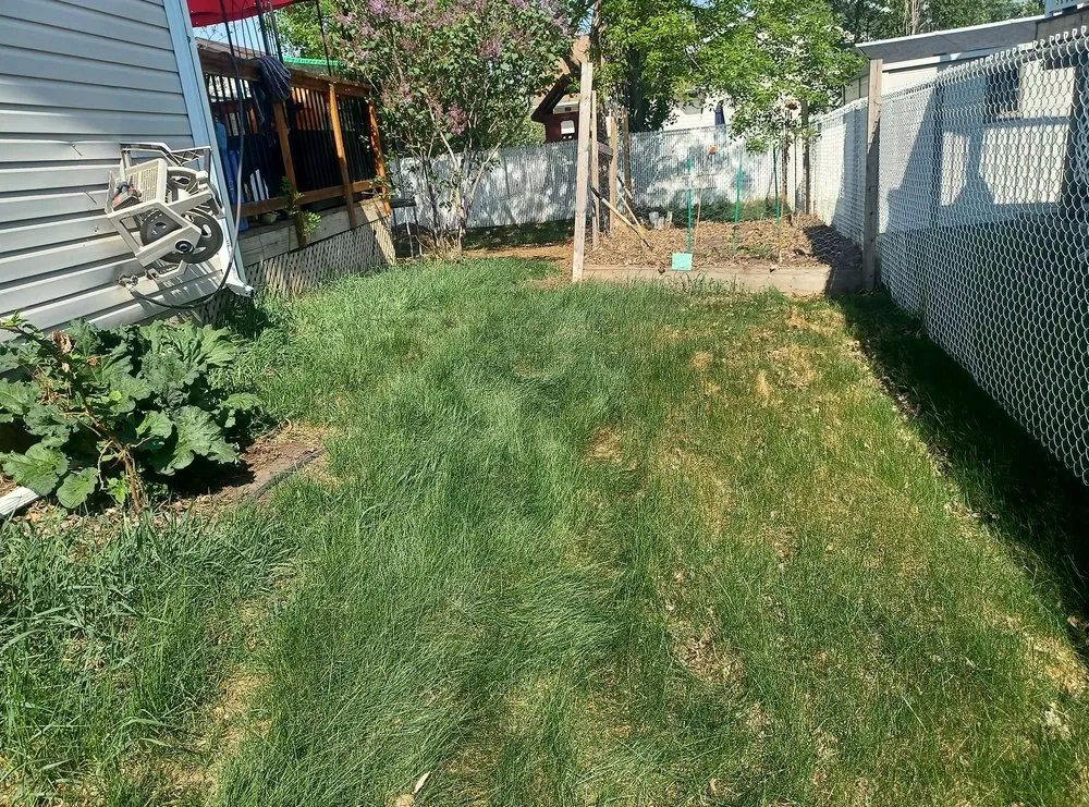 Expert lawn mowing service in Fort Myers, FL - Lona Lawn Care