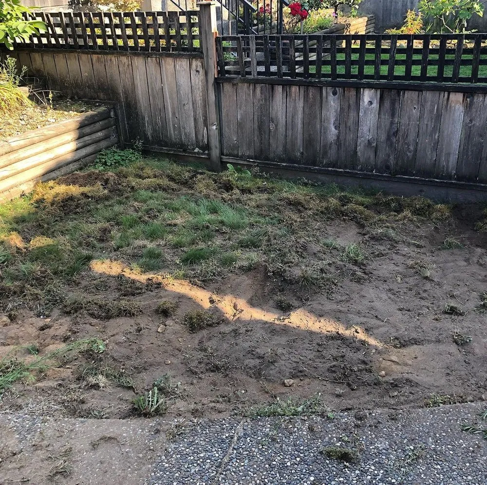 Professional lawn mowing service for year-round maintenance across Fort Myers, FL - Lona Lawn Care