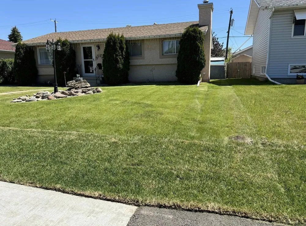 Reliable landscape design for residential properties across Fort Myers, FL - Lona Lawn Care