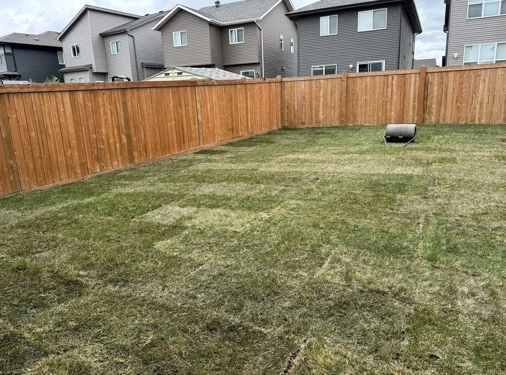 Local outdoor landscaping in Fort Myers, FL by Lona Lawn Care