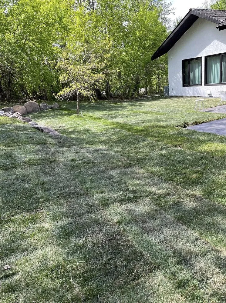 Expert landscape installation for year-round maintenance across Fort Myers, FL - Lona Lawn Care