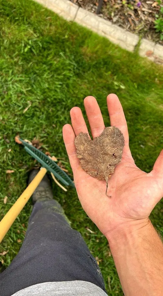 Custom landscape design in Fort Myers, FL - Lona Lawn Care