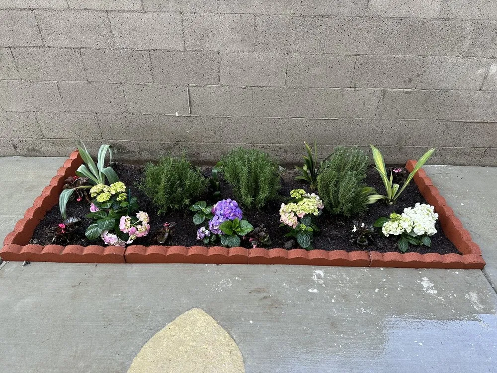 Professional residential landscaping in Gardena, CA - Lona's Gardening Service