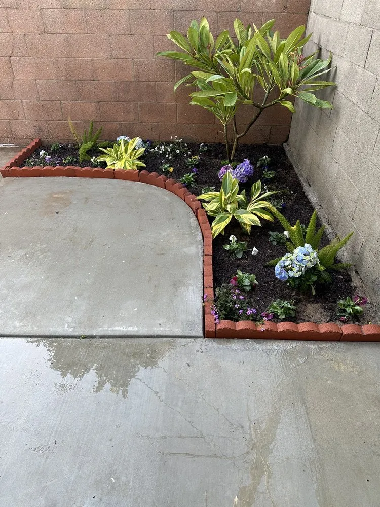 Top-rated residential landscaping for year-round maintenance across Gardena, CA - Lona's Gardening Service