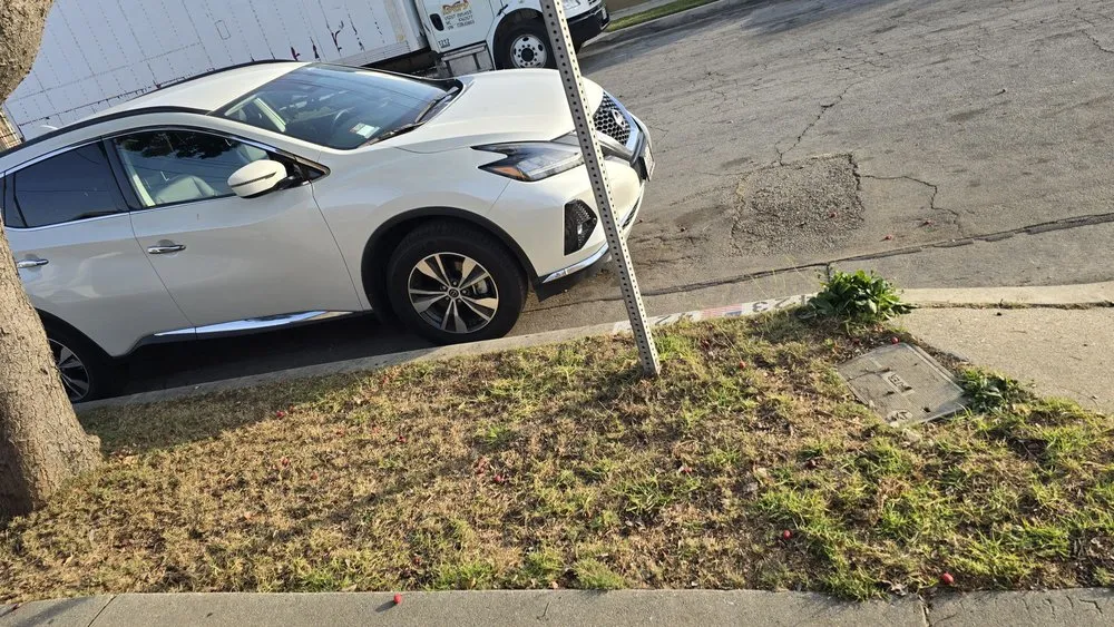 Reliable residential landscaping for residential properties in Gardena, CA by Lona's Gardening Service