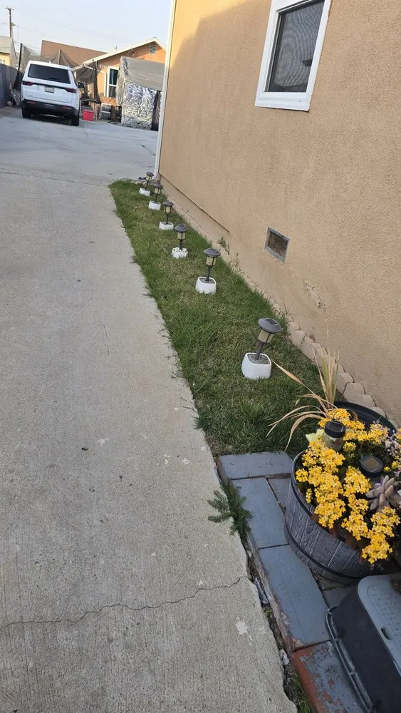 Affordable yard maintenance in Gardena, CA by Lona's Gardening Service