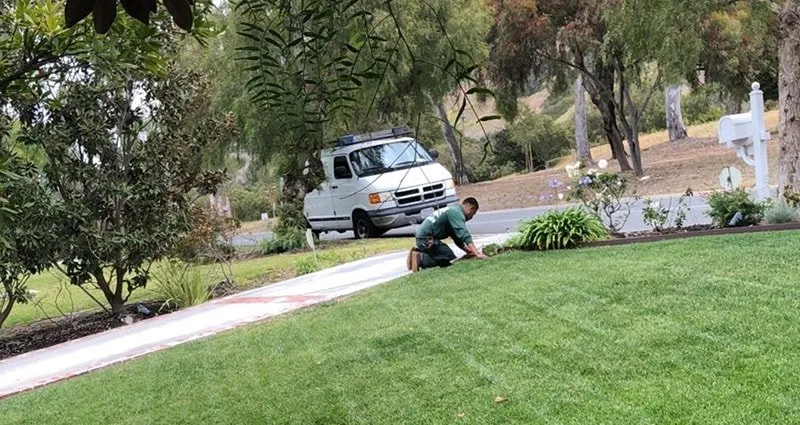 Affordable landscape design for homes across Compton, CA - Lona's Landscaping