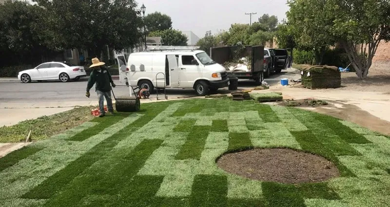 Top-rated residential landscaping in Compton, CA by Lona's Landscaping