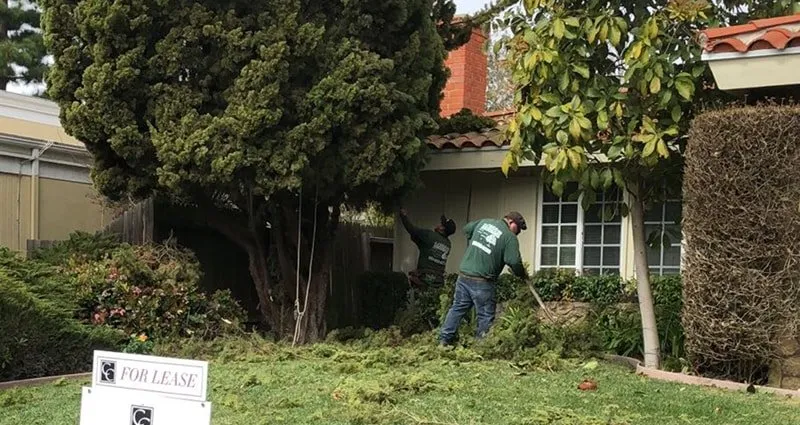 Custom yard maintenance for outdoor upgrades in Compton, CA by Lona's Landscaping