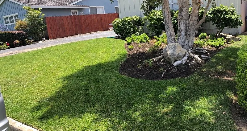 Professional garden landscaping in Compton, CA - Lona's Landscaping