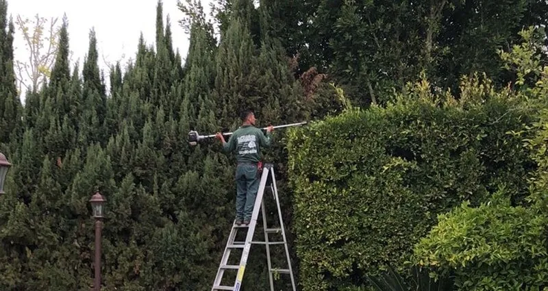 Custom landscape design for residential properties in Compton, CA by Lona's Landscaping