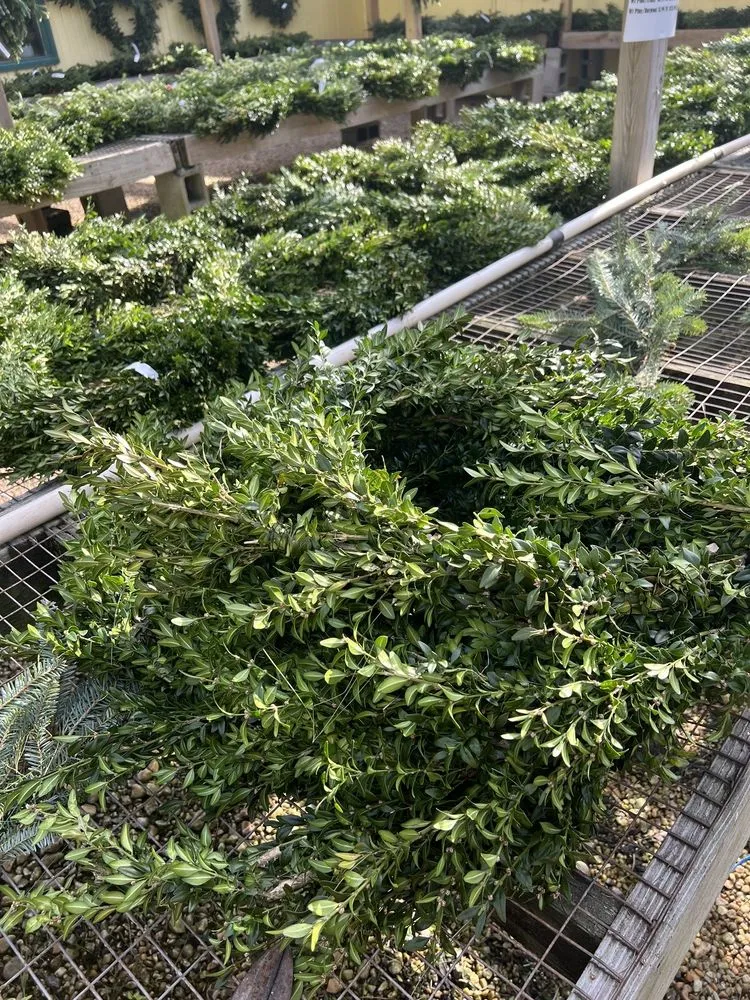 Professional residential landscaping for outdoor upgrades in Virginia Beach, VA by London Bridge Greenhouses & Nursery