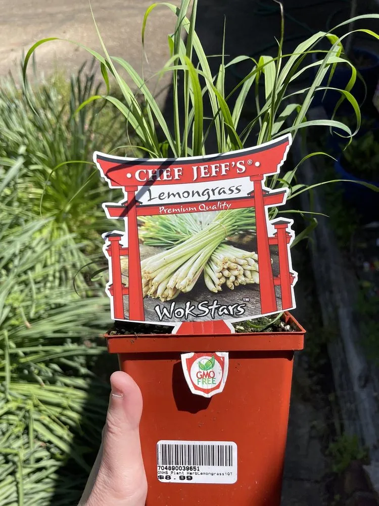 Professional landscape design in Virginia Beach, VA by London Bridge Greenhouses & Nursery