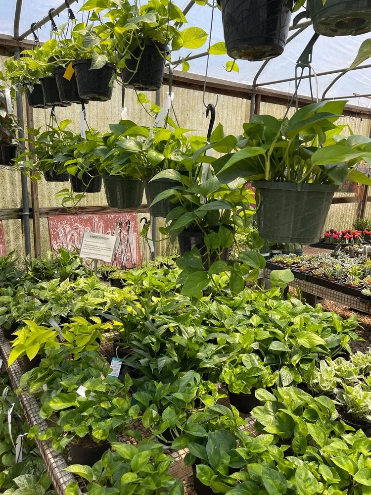 Top-rated garden landscaping with custom design in Virginia Beach, VA by London Bridge Greenhouses & Nursery