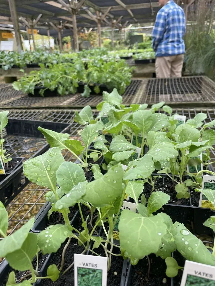 Trusted landscaping services in Virginia Beach, VA by London Bridge Greenhouses & Nursery