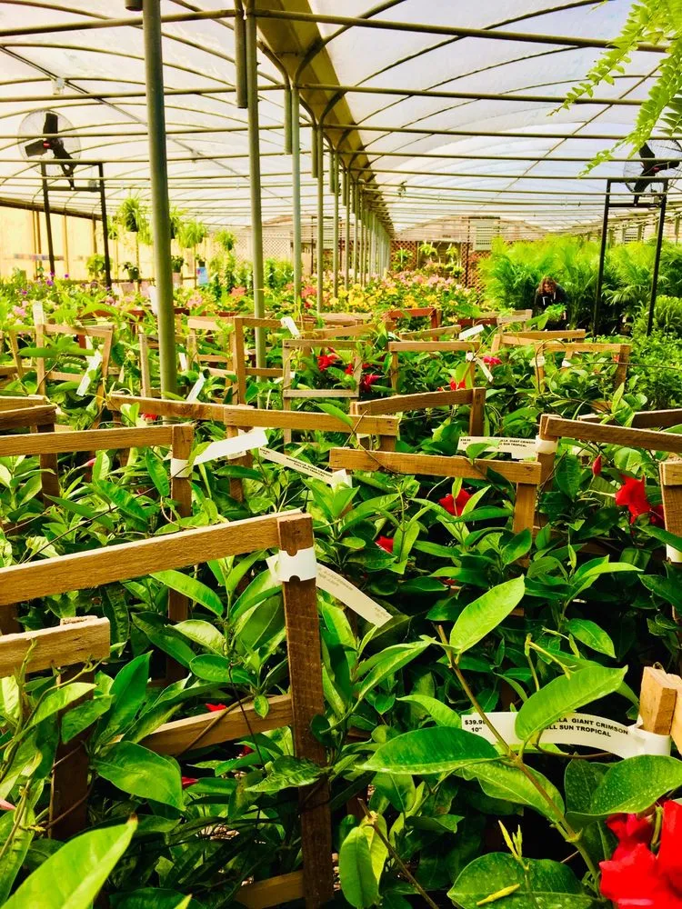 Affordable yard maintenance for beautiful yards in Virginia Beach, VA by London Bridge Greenhouses & Nursery