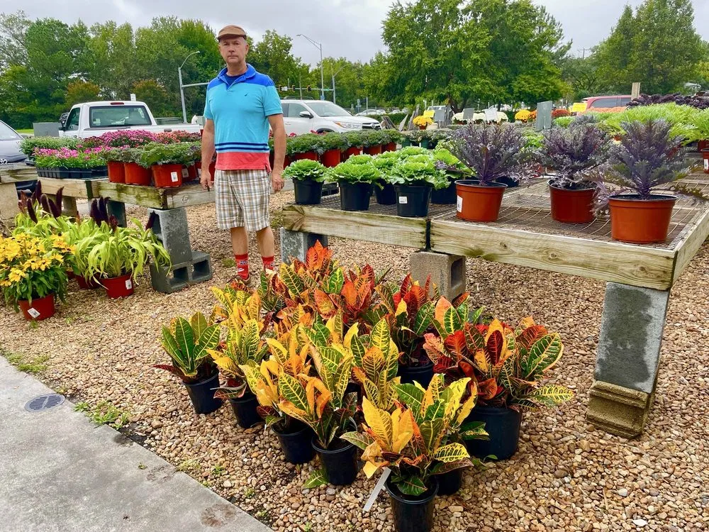 Reliable yard maintenance in Virginia Beach, VA - London Bridge Greenhouses & Nursery