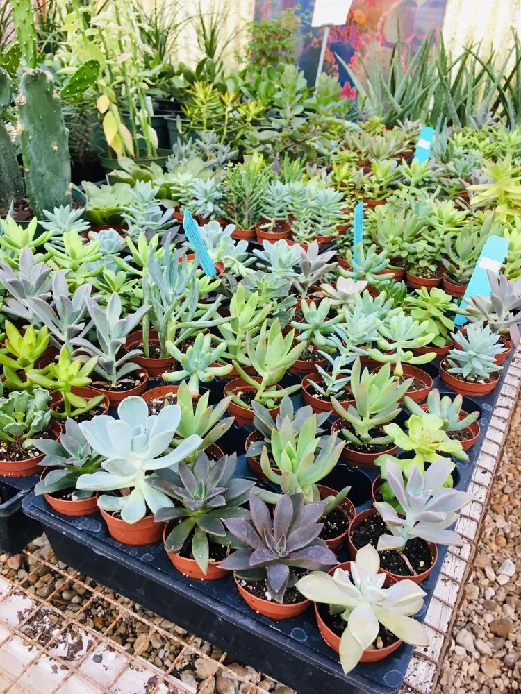 Expert residential landscaping in Virginia Beach, VA by London Bridge Greenhouses & Nursery