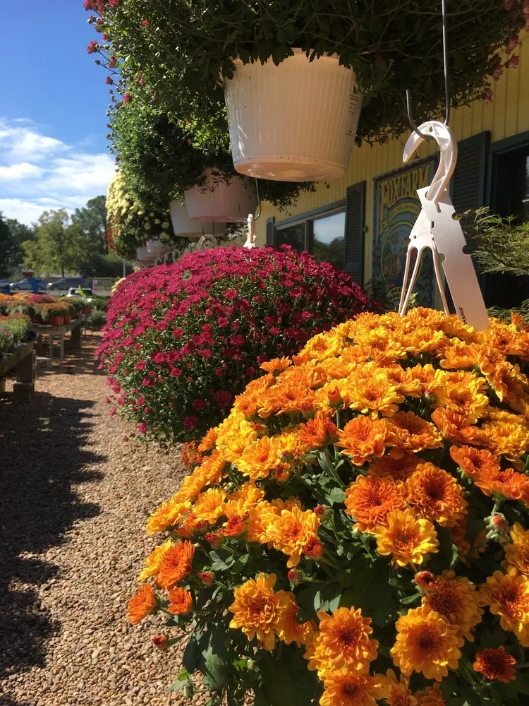 Top-rated landscape design experts serving Virginia Beach, VA - London Bridge Greenhouses & Nursery