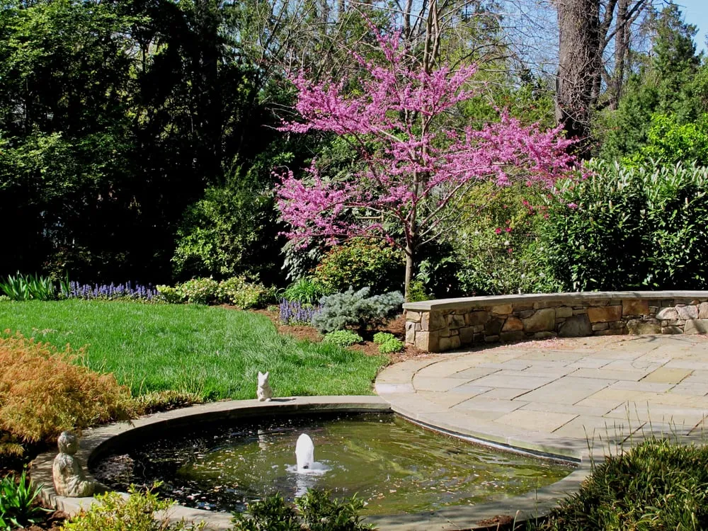 Expert landscaping services experts serving Bethesda, MD - London Landscapes