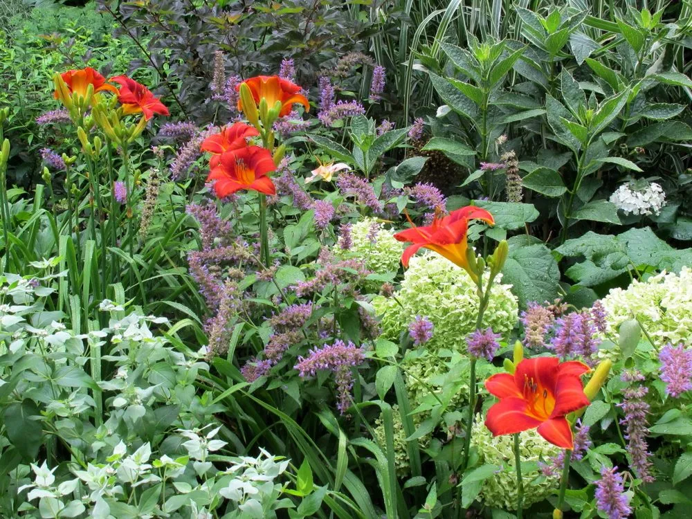 Expert landscape installation in Bethesda, MD by London Landscapes