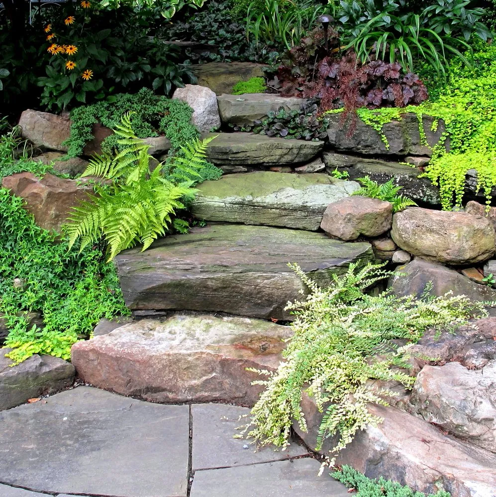 Trusted yard cleanup service in Bethesda, MD by London Landscapes