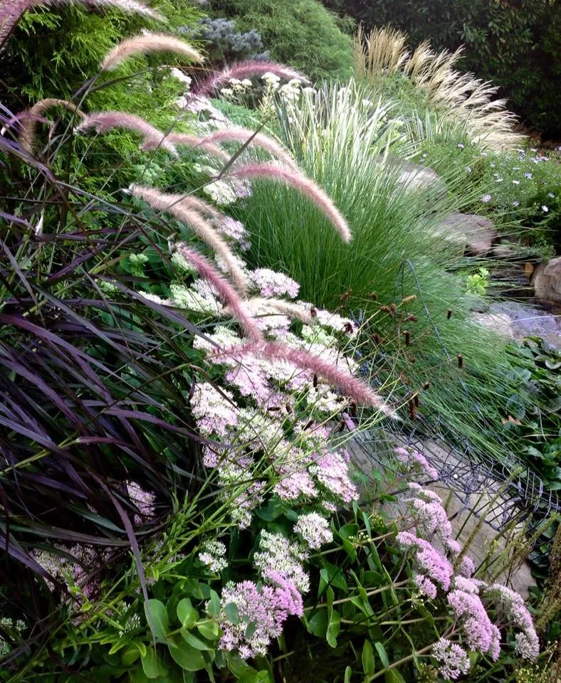 Affordable residential landscaping near you across Bethesda, MD - London Landscapes