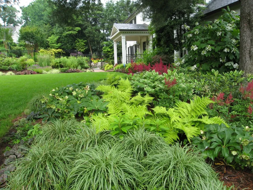 Local outdoor landscaping for residential properties across Bethesda, MD - London Landscapes