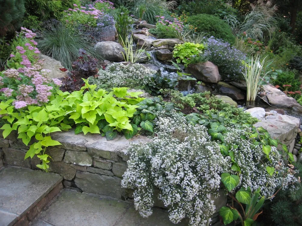 Top-rated yard cleanup service in Bethesda, MD by London Landscapes