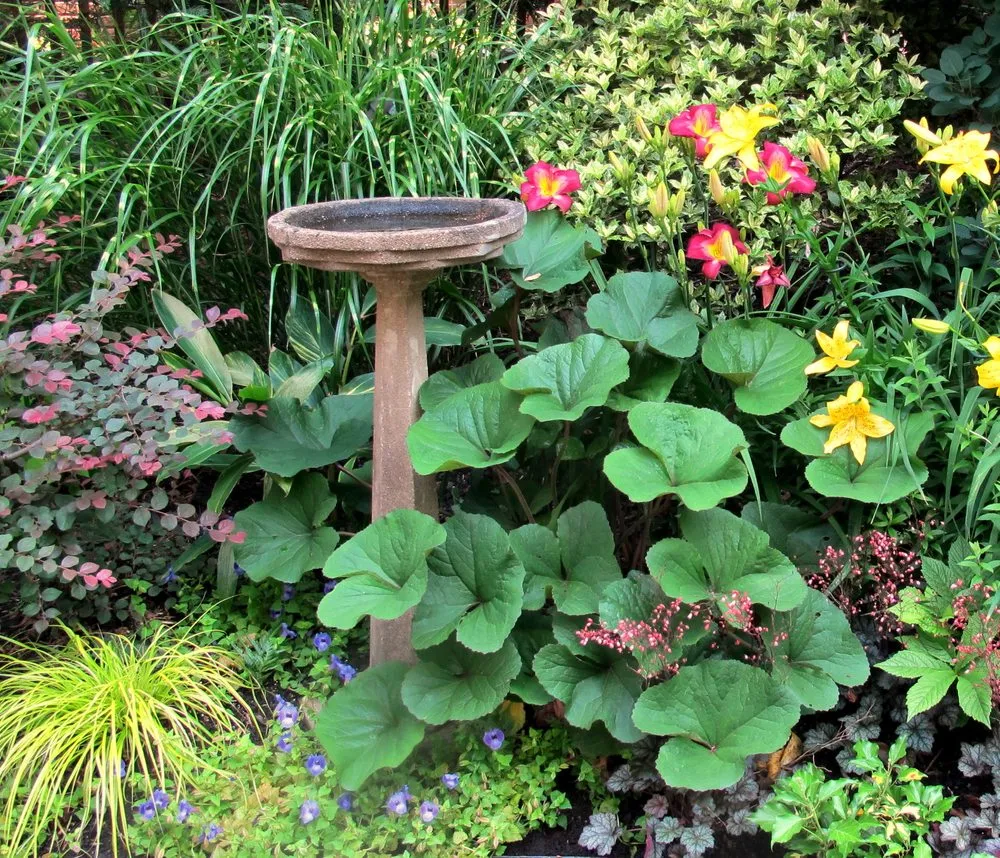 Custom yard maintenance in Bethesda, MD by London Landscapes