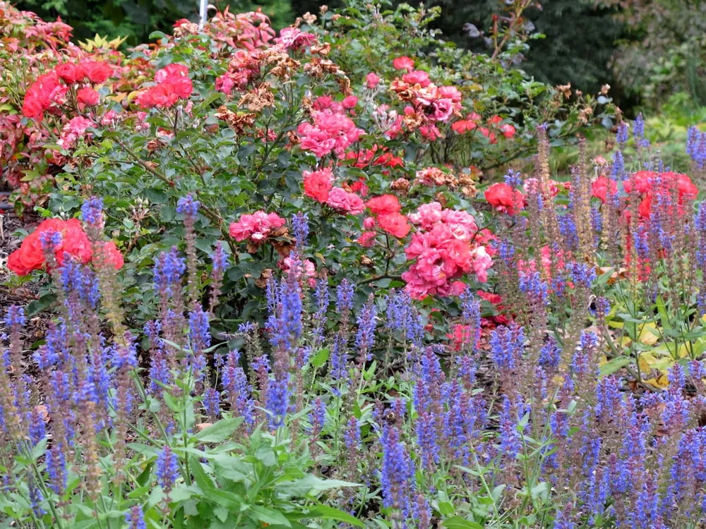 Custom yard cleanup service in Bethesda, MD - London Landscapes