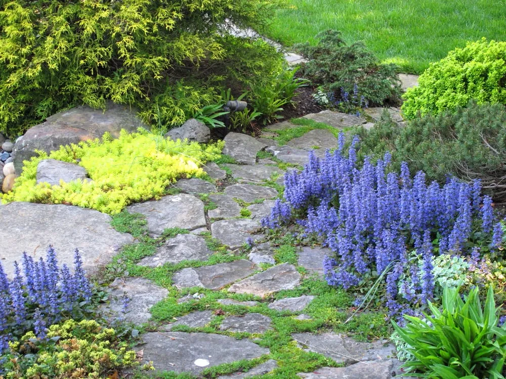 Top-rated yard maintenance in Bethesda, MD - London Landscapes