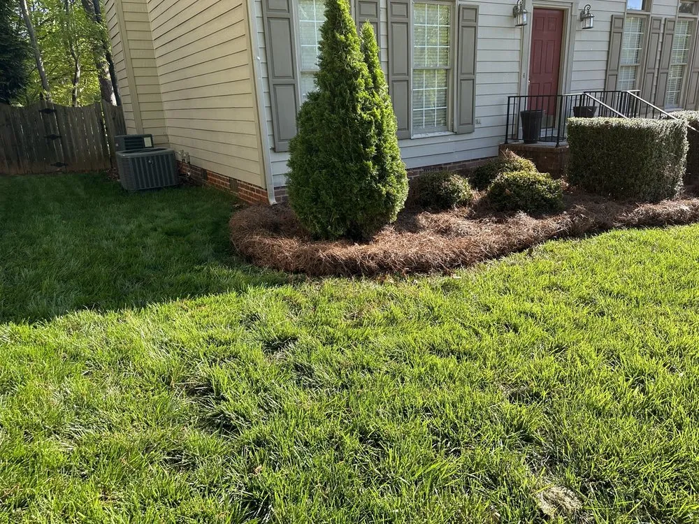 Professional yard maintenance near you across Greensboro, NC - London Landscaping