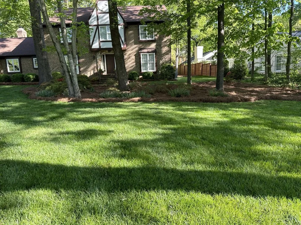 Trusted yard cleanup service with custom design in Greensboro, NC by London Landscaping