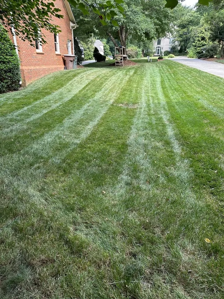 Affordable lawn care service for residential properties across Greensboro, NC - London Landscaping