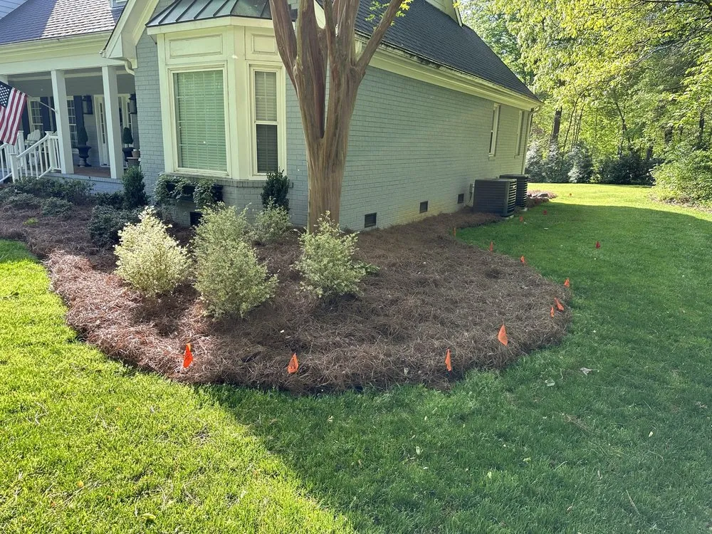 Top-rated yard maintenance in Greensboro, NC - London Landscaping