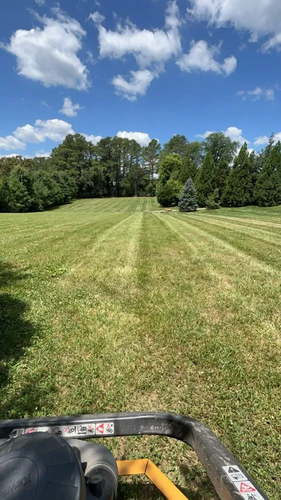 Top-rated lawn care service for beautiful yards in Cookeville, TN by London Lawncare