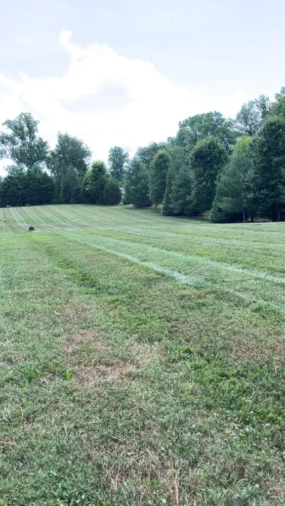 Affordable yard cleanup service experts serving Cookeville, TN - London Lawncare