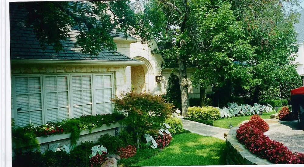 Expert yard cleanup service in Richardson, TX by London Lawns & Landscaping