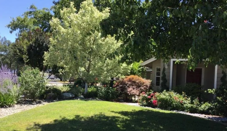 Trusted yard cleanup service in Redding, CA by Londono Lawncare