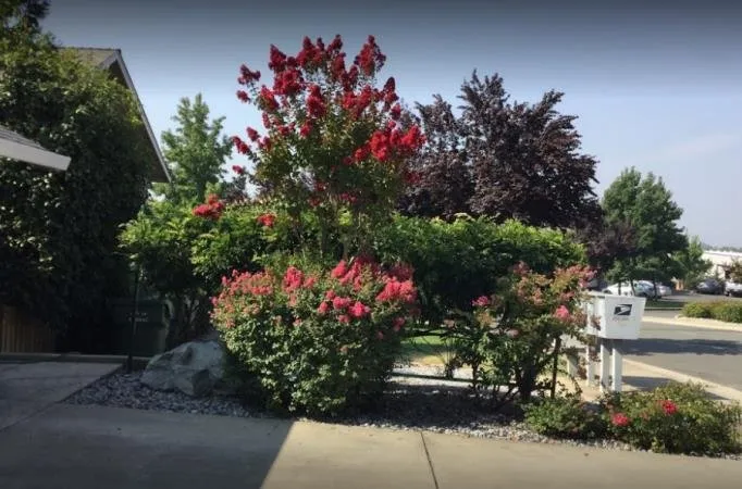 Expert yard maintenance in Redding, CA - Londono Lawncare