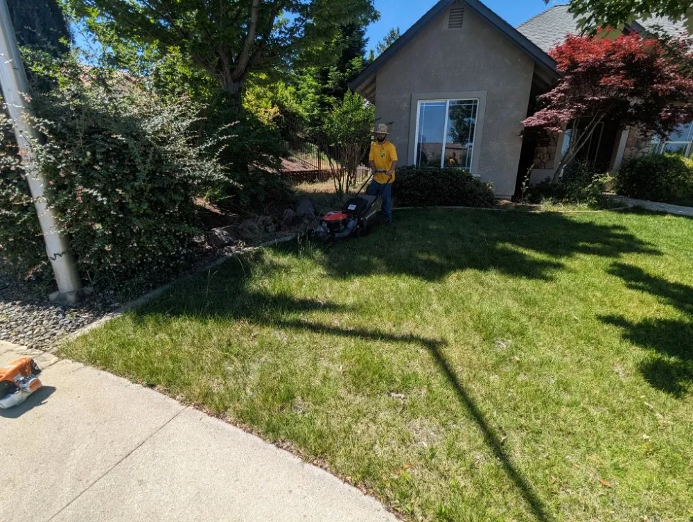 Trusted residential landscaping with custom design in Redding, CA by Londono Lawncare