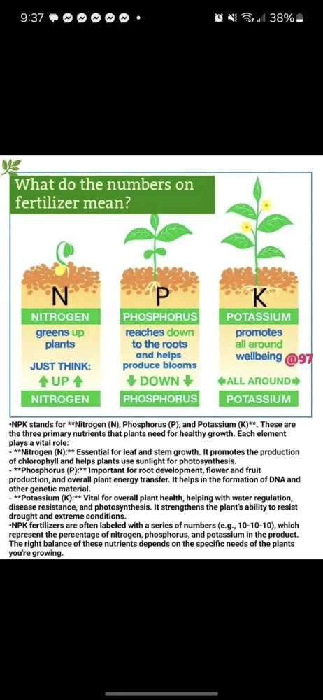 Expert residential landscaping for residential properties in Redding, CA by Londono Lawncare